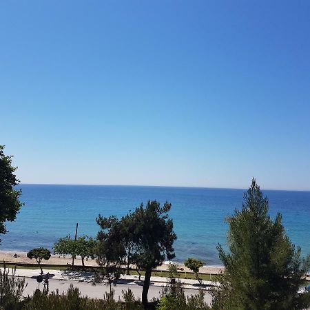 Estrella Rooms Nea Kallikrateia Dış mekan fotoğraf